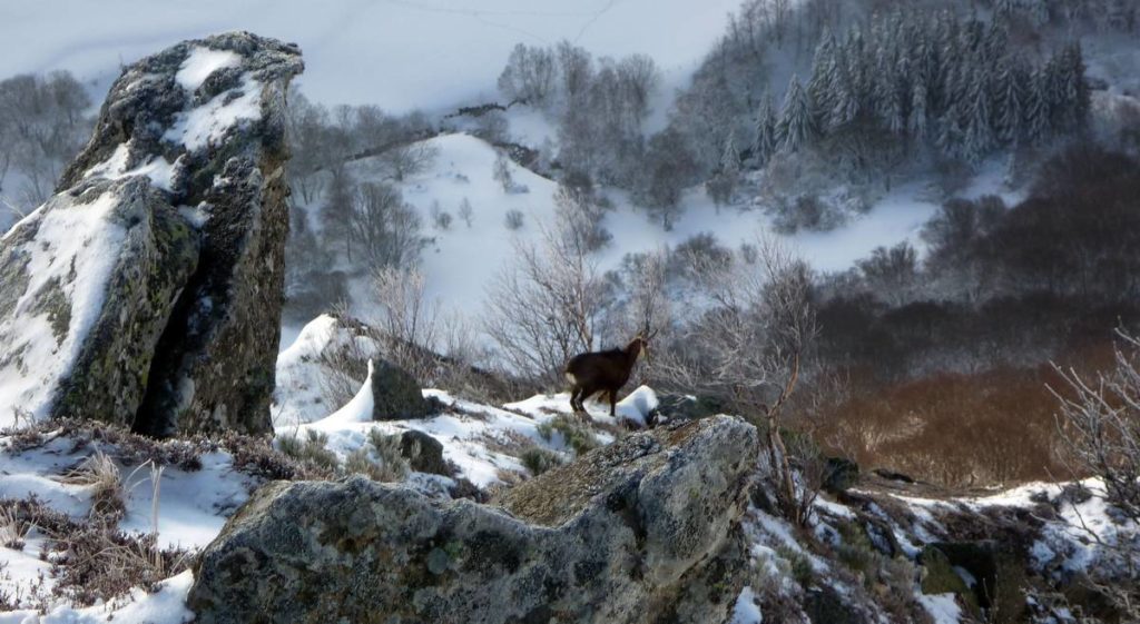 spots de bivouac hivernal