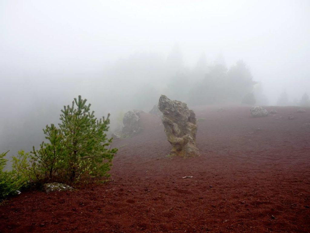 Sommet Puy de la Vache