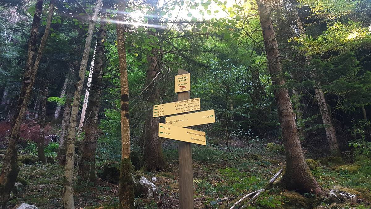 chemin trou de la chapelle