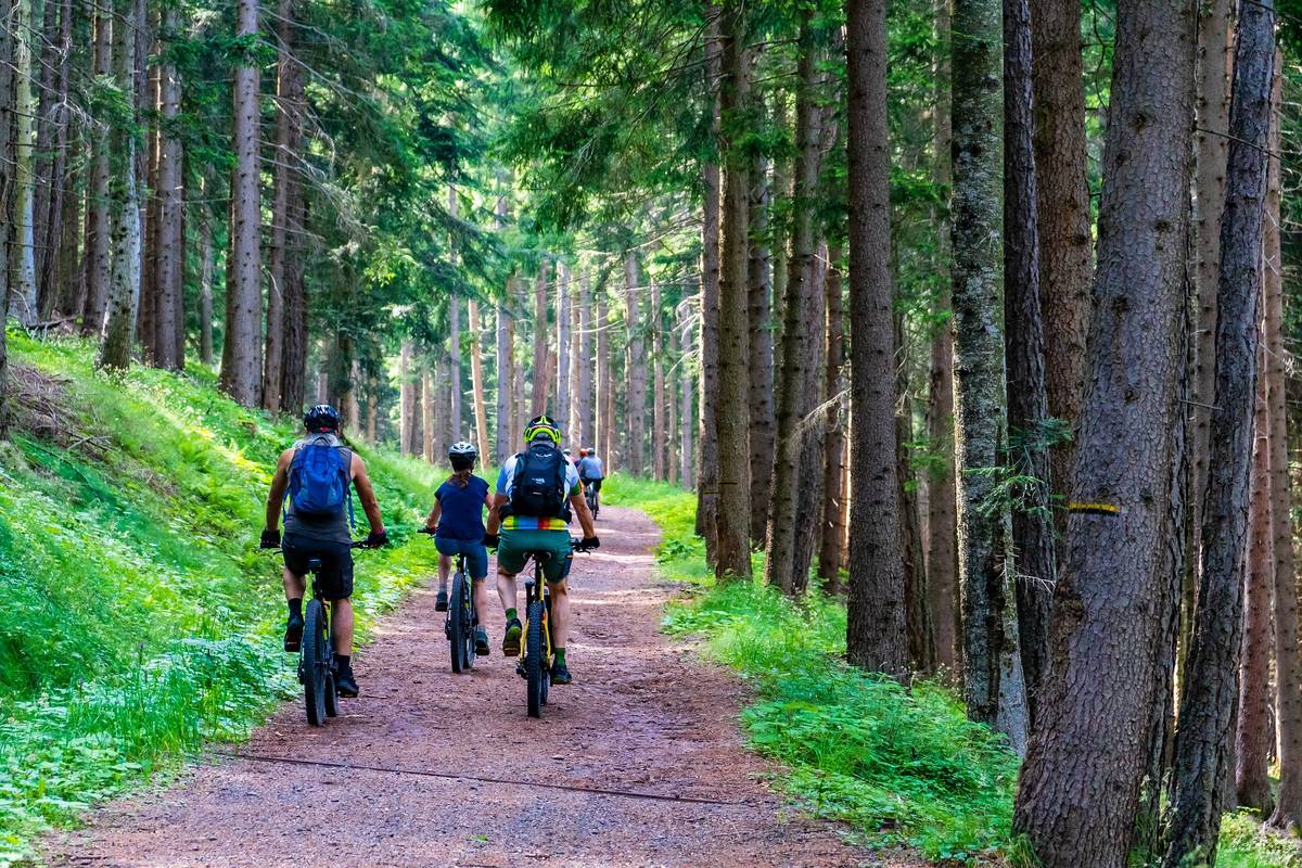 faire du VTT en forêt
