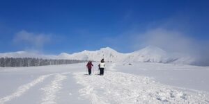 rando raquette sancy