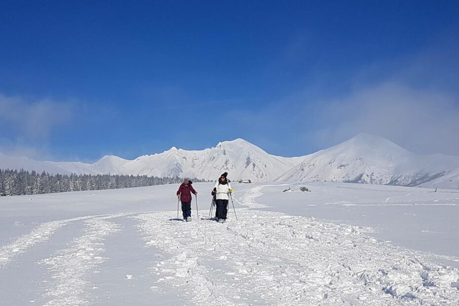 rando raquette sancy