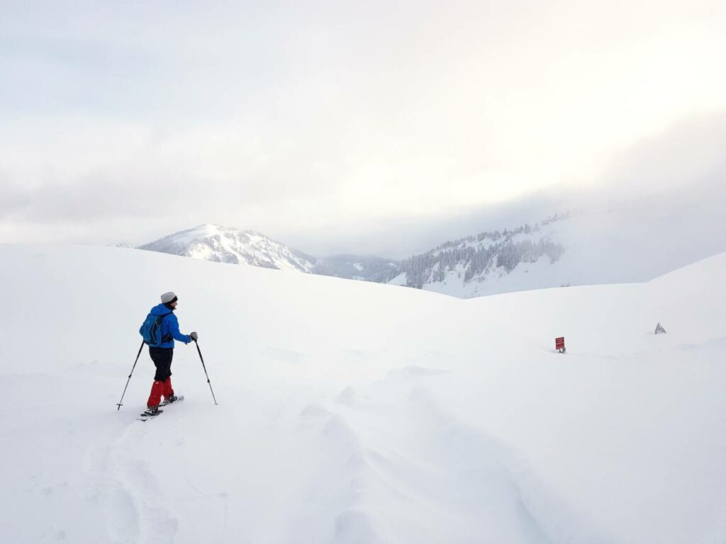 randonnée en raquettes dans la neige poudreuse