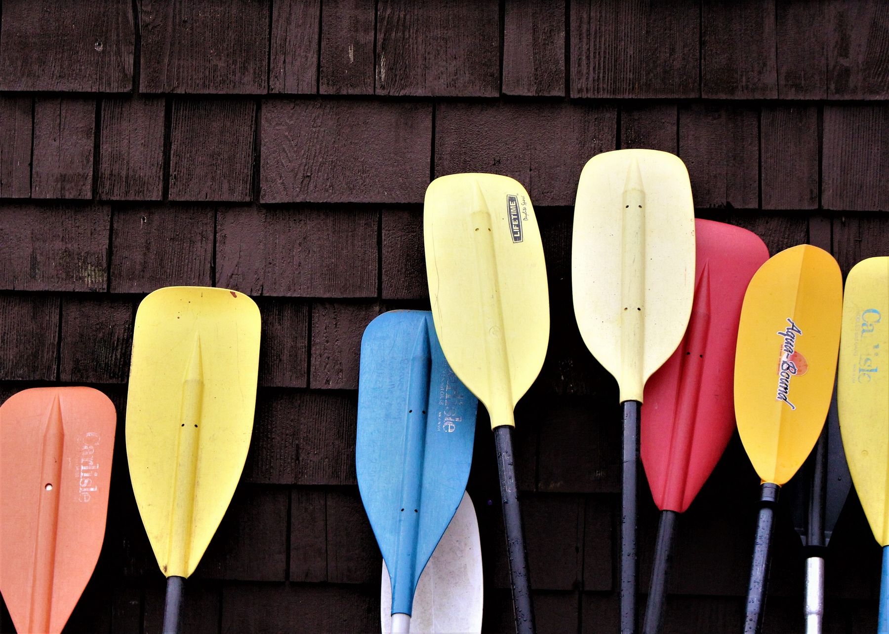 choisir pagaie de canoé kayak