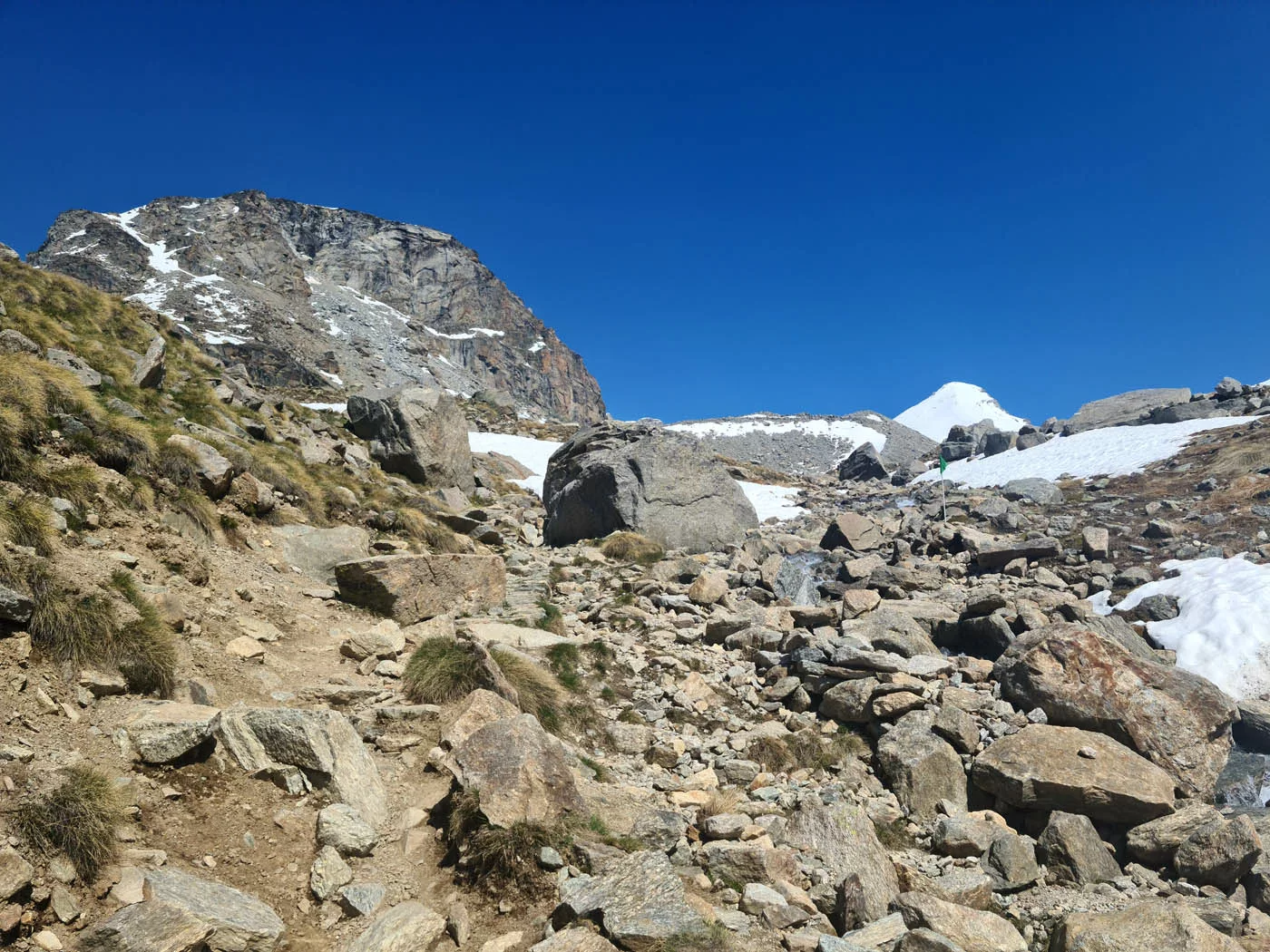apparition du grand paradis