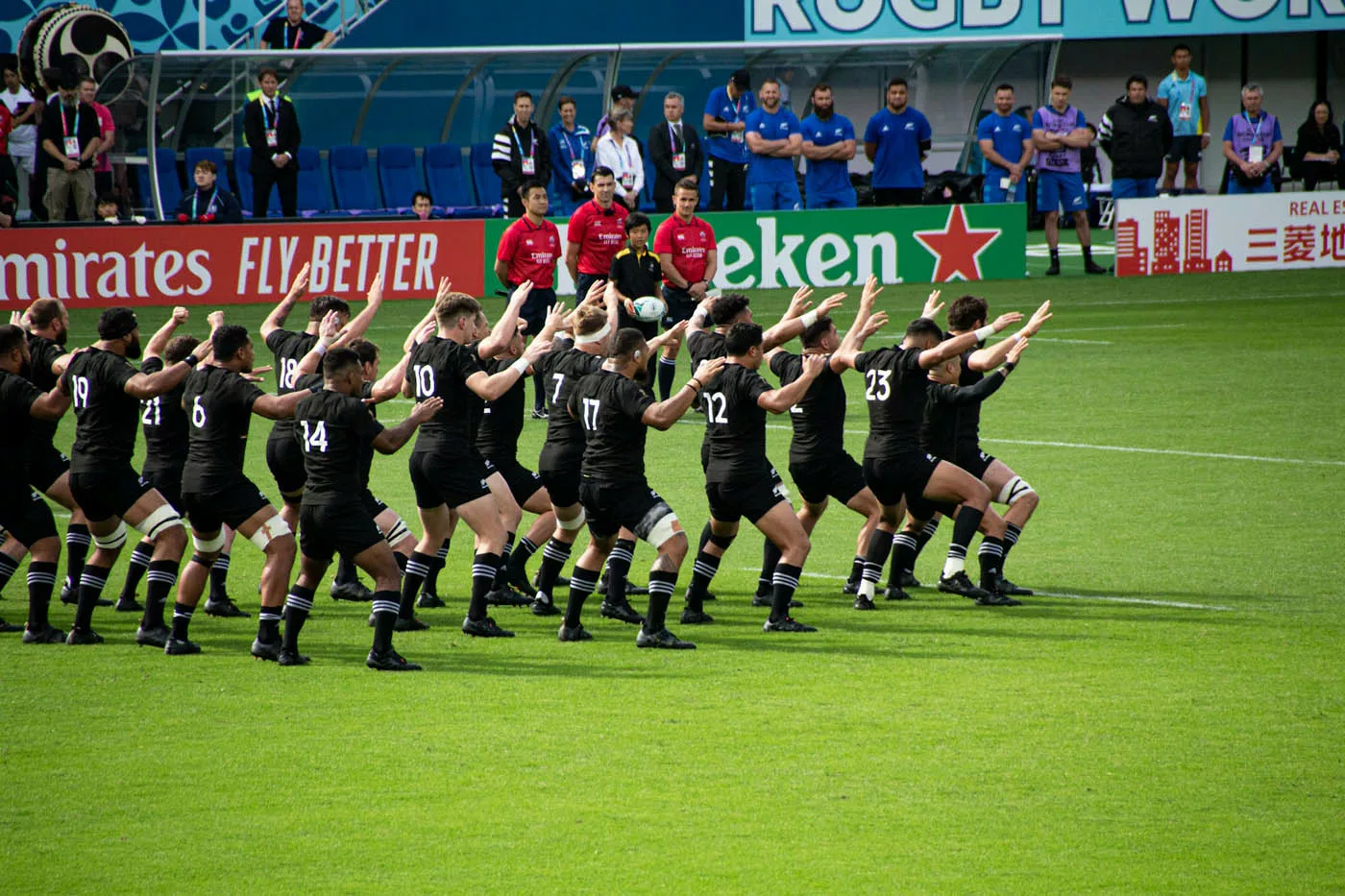 HAKA rugby All Blacks