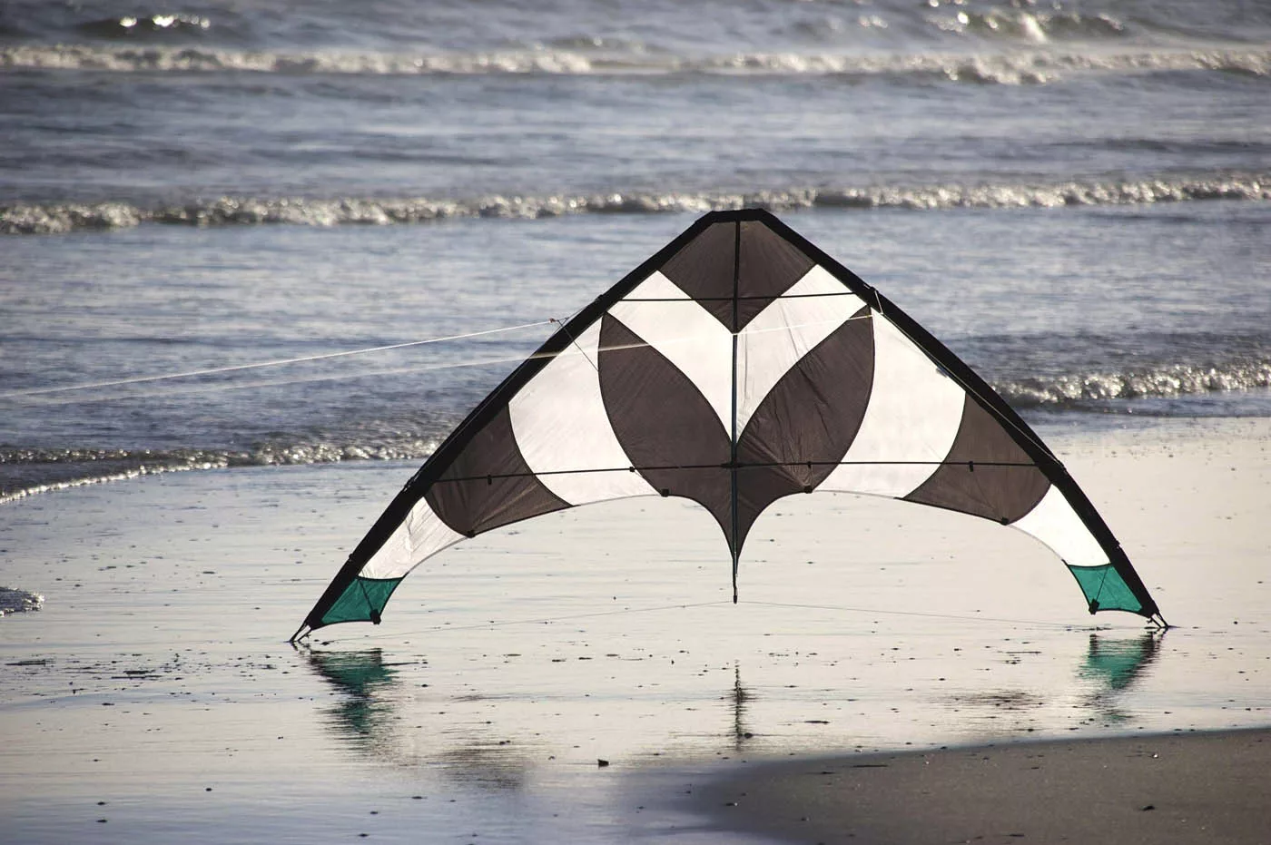 cerf volant plage