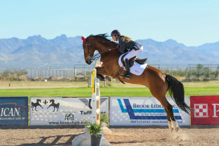 équitation sport CSO