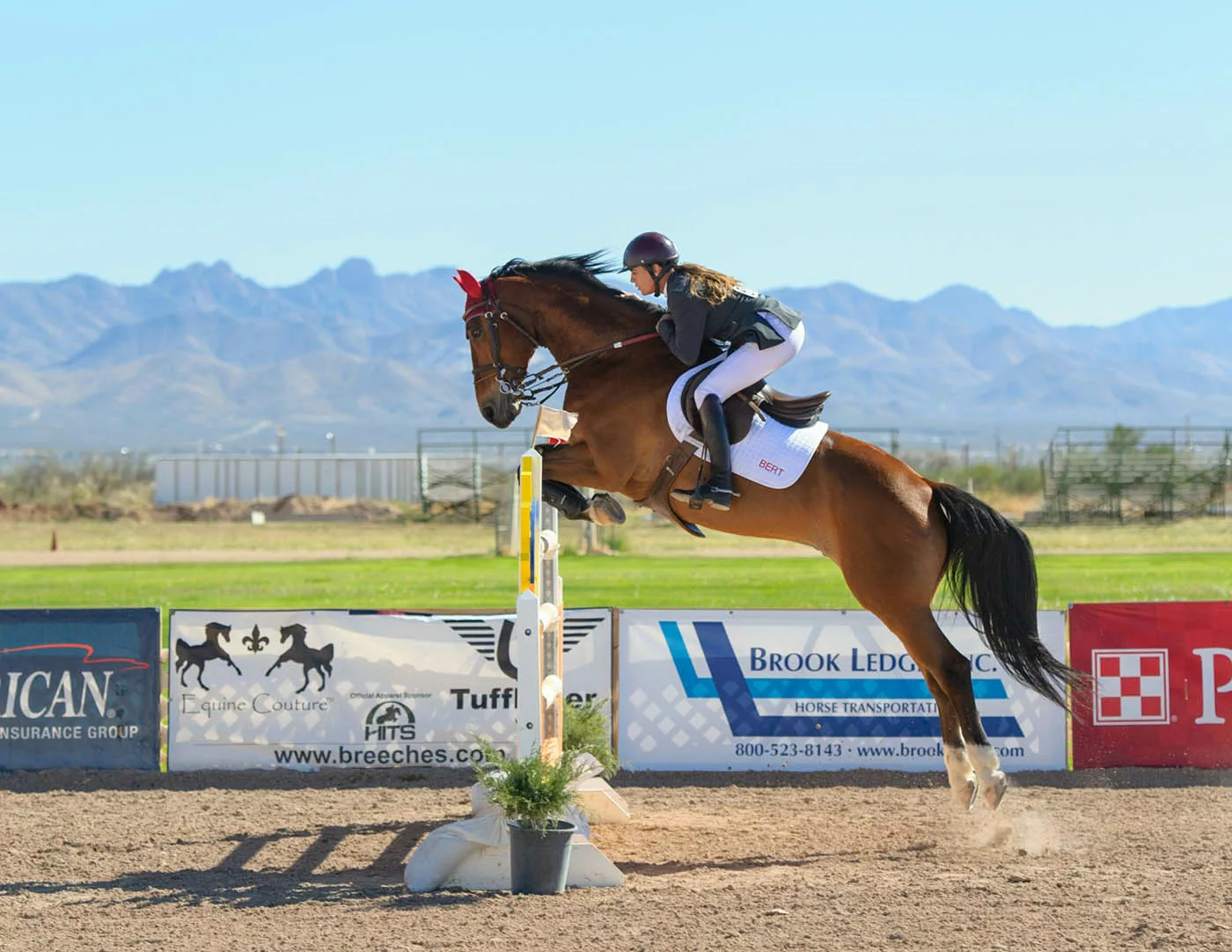 équitation sport CSO