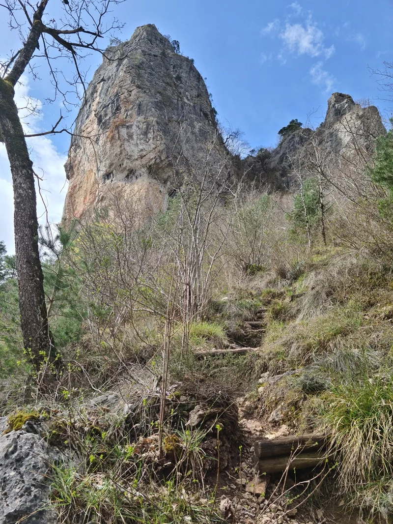 marche d'approche roc aiguille