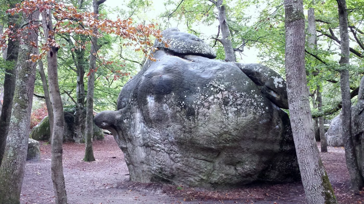 Bloc remarquable de Fontainebleau