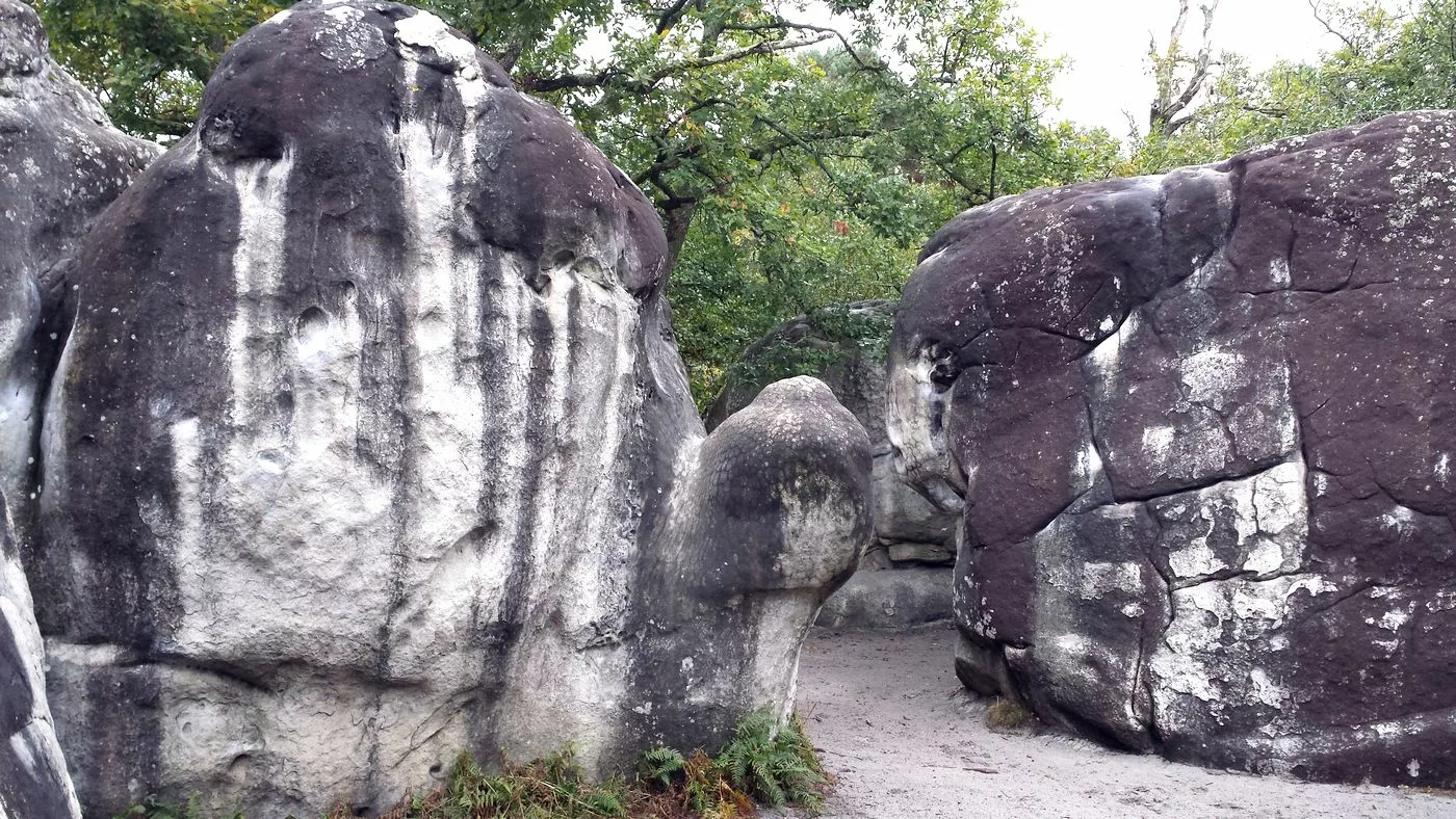escalade bloc Fontainebleau