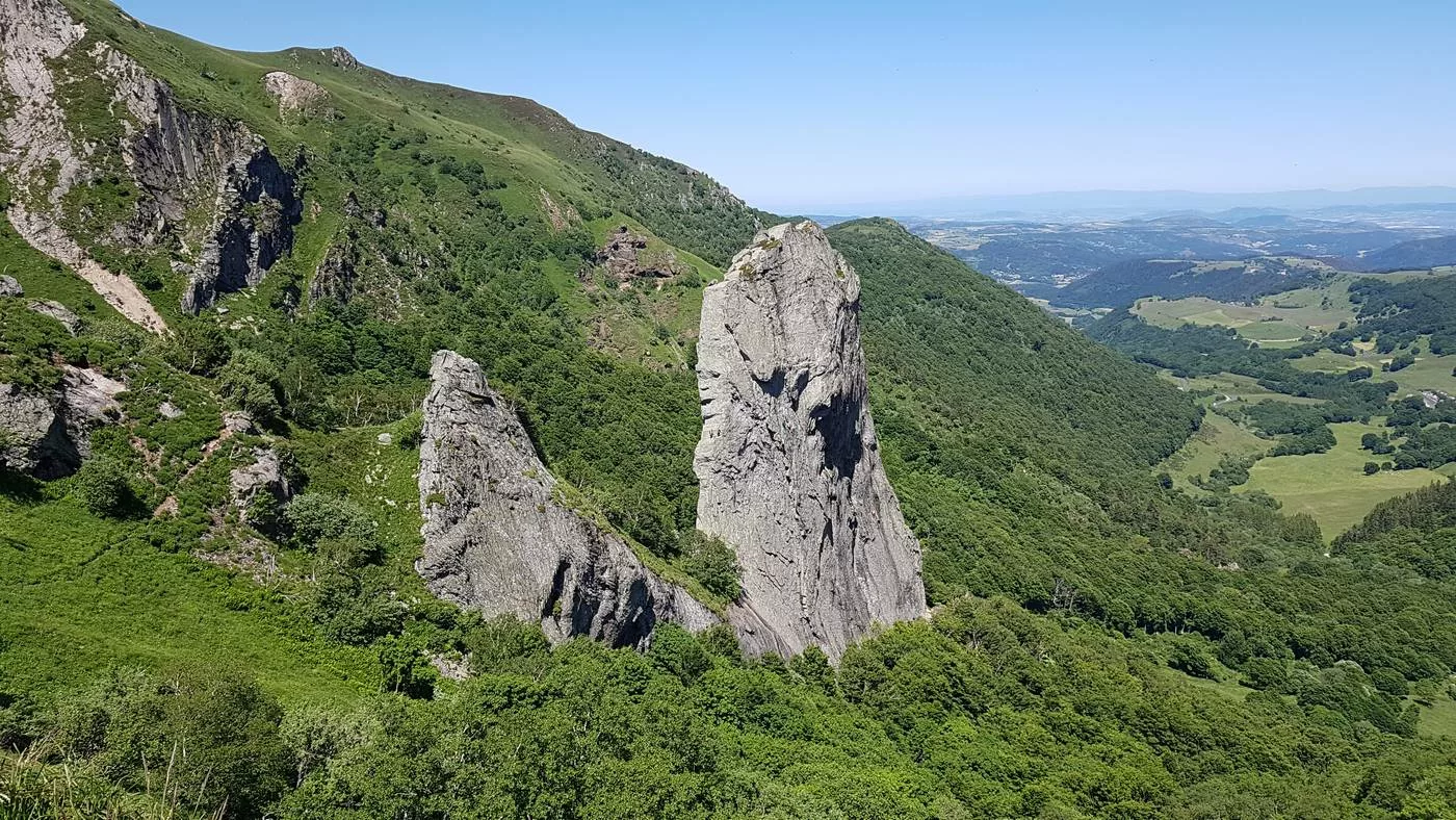 dent de la rancune
