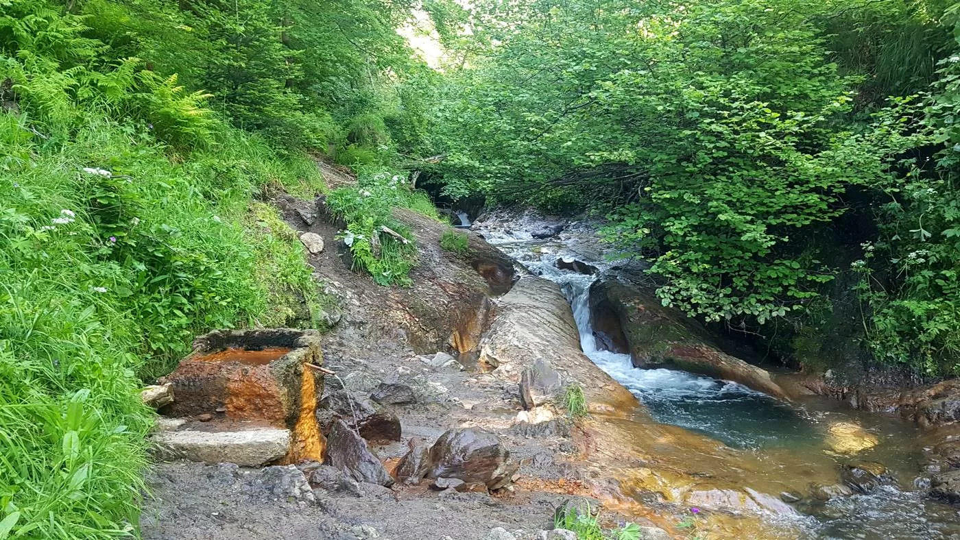 source saint anne vallée de chaudefour